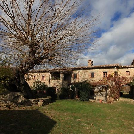Antico Gelso Villa Todi Exteriör bild